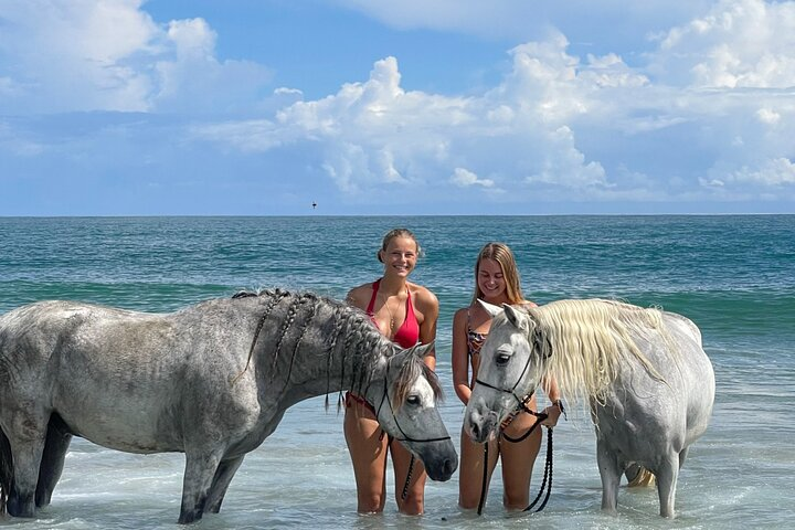 7-Day Yoga In Harmony with Horses Private Guided Activity - Photo 1 of 15